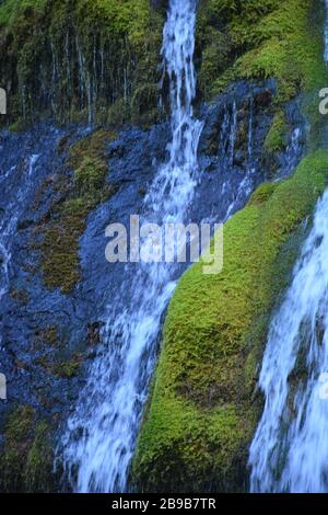 Panther Creek Falls, situato vicino a Carson, all'uscita di Wind River Road, vicino a Carson, nella Gifford Pinchot National Forest, Washington state, USA. Foto Stock