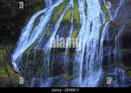 Panther Creek Falls, situato vicino a Carson, all'uscita di Wind River Road, vicino a Carson, nella Gifford Pinchot National Forest, Washington state, USA. Foto Stock