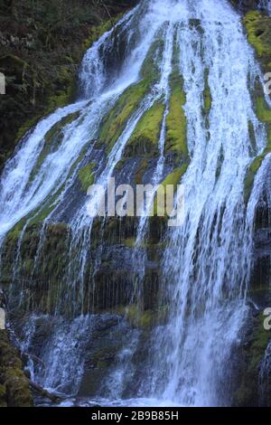 Panther Creek Falls, situato vicino a Carson, all'uscita di Wind River Road, vicino a Carson, nella Gifford Pinchot National Forest, Washington state, USA. Foto Stock