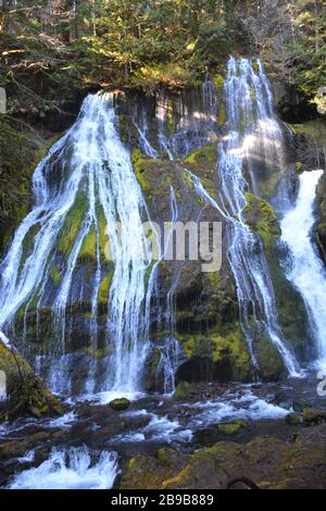 Panther Creek Falls, situato vicino a Carson, all'uscita di Wind River Road, vicino a Carson, nella Gifford Pinchot National Forest, Washington state, USA. Foto Stock