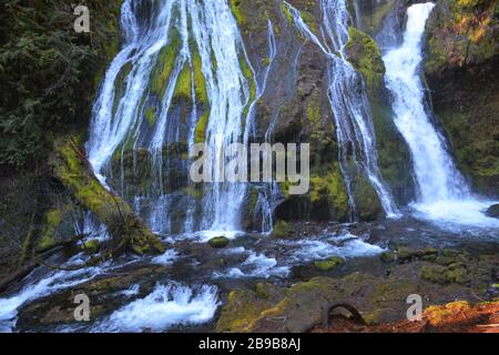 Panther Creek Falls, situato vicino a Carson, all'uscita di Wind River Road, vicino a Carson, nella Gifford Pinchot National Forest, Washington state, USA. Foto Stock