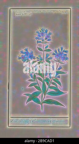 Campanula, Anselmus Boetius de Boodt, Reimagined by Gibon, design di calore allegro di luminosità e raggi di luce radianza. Arte classica reinventata con un tocco moderno. La fotografia ispirata al futurismo, che abbraccia l'energia dinamica della tecnologia moderna, del movimento, della velocità e rivoluziona la cultura. Foto Stock