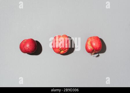 Concetto di frutti brutti. Mele rosse biologiche su sfondo grigio. Il concetto di ecologia, non plastica. Cibo sano. Spazio di copia. Vista dall'alto. Zero scarico concep Foto Stock