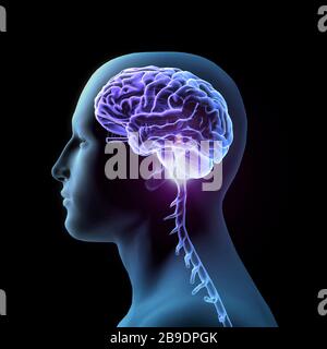 Vista laterale di manâ€™con cervello e cranio illuminati, sfondo nero. Foto Stock
