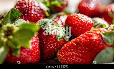 Fragola fresca matura perfetta, sfondo Food Frame, fuoco selettivo - immagine Foto Stock