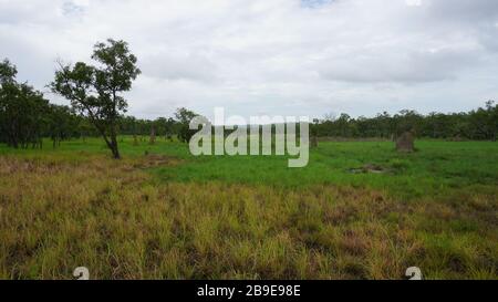 Una giornata nuvolosa nel litchfield nationalpark nei territori settentrionali dell'australia Foto Stock