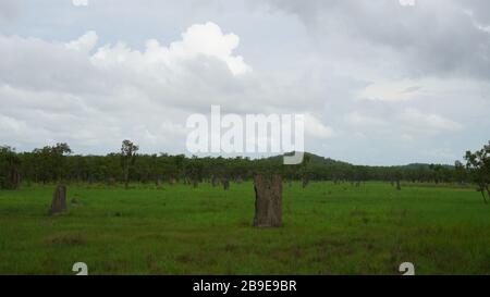 Una giornata nuvolosa nel litchfield nationalpark nei territori settentrionali dell'australia Foto Stock