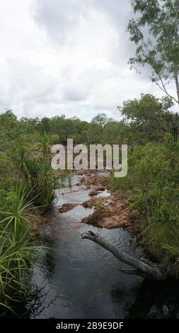 Una giornata nuvolosa nel litchfield nationalpark nei territori settentrionali dell'australia Foto Stock