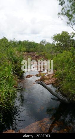 Una giornata nuvolosa nel litchfield nationalpark nei territori settentrionali dell'australia Foto Stock