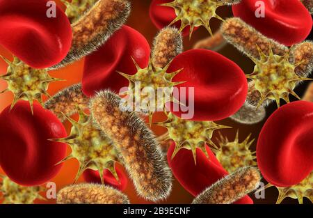 Immagine concettuale di batteri e virus con le cellule del sangue. Foto Stock