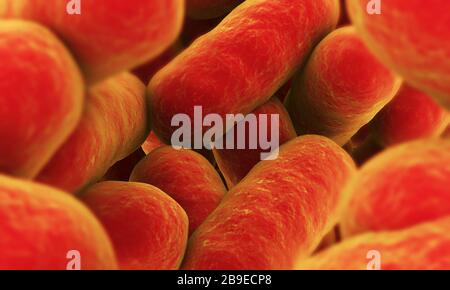 Immagine concettuale di batteri. Foto Stock