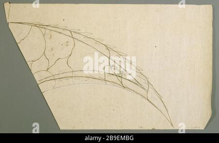 DESIGN IN VETRO COLORATO: EMOINCON Prosper Lafaye (1806-1883). "Essin de vitrail : écoinçon, entre 1845 et 1875". Parigi, musée Carnavalet. Foto Stock