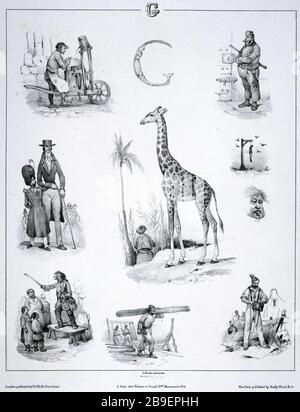 Joe Rittner LETTERA Z - NOVITÀ IN ABEDAIRE ENIGMES Jean-Victor Adam, dit Victor ...