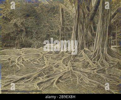 Ficus Elastica - Assam India - Rubber, Charles T. Scowen (inglese, 1852 - 1948), la Colombo Apothecaries Co., Ltd. (Sri Lanka, circa 1880 - 1920s), Assam, India, negativo 1875 - 1899, stampato dopo il 1892, stampa in argento albumen, Reimagined by Gibon, design di calore allegro di luminosità e raggi di luce radianza. Arte classica reinventata con un tocco moderno. La fotografia ispirata al futurismo, che abbraccia l'energia dinamica della tecnologia moderna, del movimento, della velocità e rivoluziona la cultura. Foto Stock