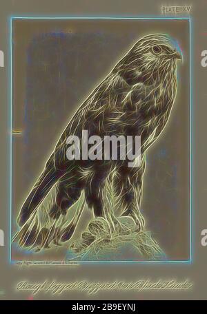 Buzzard var Black Hawk, William Notman (Canada, Scozia, 1826 - 1891), Montreal, Québec, Canada, 1876, stampa in argento albumen, Reimagined by Gibon, disegno di un caldo allegro bagliore di luminosità e raggi di luce radianza. Arte classica reinventata con un tocco moderno. La fotografia ispirata al futurismo, che abbraccia l'energia dinamica della tecnologia moderna, del movimento, della velocità e rivoluziona la cultura. Foto Stock