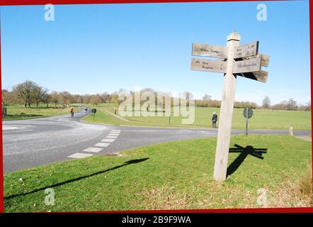Richmond Park dopo lo scoppio di Covid 19 Foto Stock