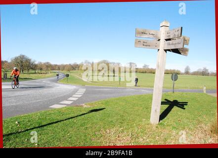 Richmond Park dopo lo scoppio di Covid 19 Foto Stock