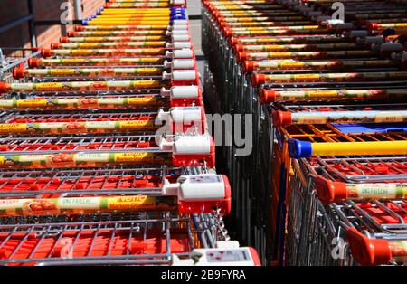 Heinsberg, Germania - Marzo 23. 2020: Primo piano di carrelli a fila isolata della catena discount dei supermercati tedeschi Netto Marken Discount Foto Stock