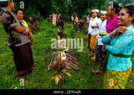 I balinesi visitano le tombe della loro famiglia durante UNA vacanza locale, Bali, Indonesia. Foto Stock