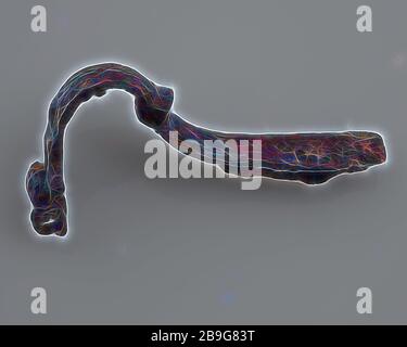 Fibula in bronzo o chiodo di garofano con dorso largo, corto, senza perno, dispositivo di fissaggio fibula suolo trovare bronzo metallo, martellato fuso bronzo fibula o perno mantello curvo posteriore. Ampi occhi posteriori profilati fibula con occhi aperti archeologia Spijkenisse romana epoca Medioevo abito di fissaggio perni terreno scoperta Spijkenisse Foto Stock
