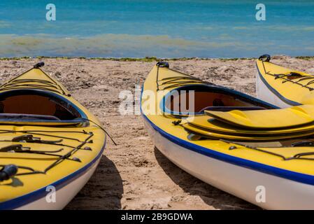 I kayak colorati allineano l'acqua - fuoco selettivo, spazio di copia Foto Stock