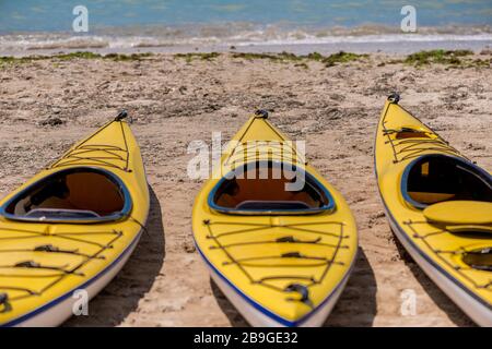 I kayak colorati allineano l'acqua - fuoco selettivo, spazio di copia Foto Stock