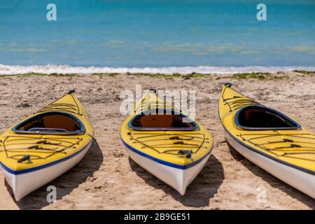 I kayak colorati allineano l'acqua - fuoco selettivo, spazio di copia Foto Stock