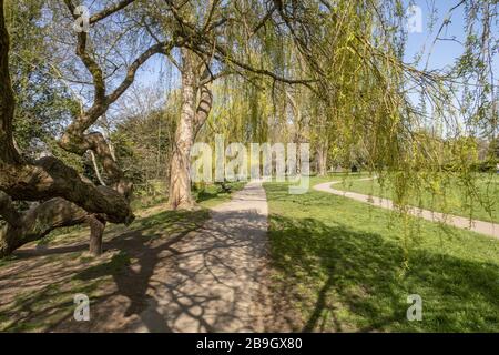 Sidmouth, Devon, 24 marzo 2020 i sentieri del popolare parco sul fiume byes a Sidmouth sono vuoti mentre le persone rimangono a casa durante l'epidemia di coronavirus. Credit: Photo Central/Alamy Live News Foto Stock