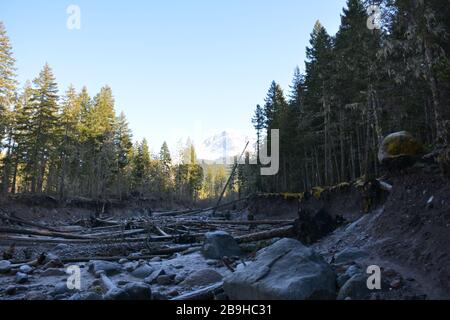 Monte Hood visto dal fiume Sandy sul Ramona Falls Trail, Oregon, USA Foto Stock