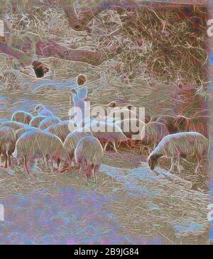 Xxiii salmo, pecore 1898, Medio Oriente, Israele e/o la Palestina Foto Stock