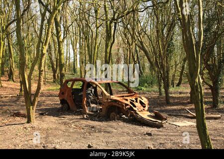 Bruciò l'automobile rubata nel bosco britannico. Foto Stock