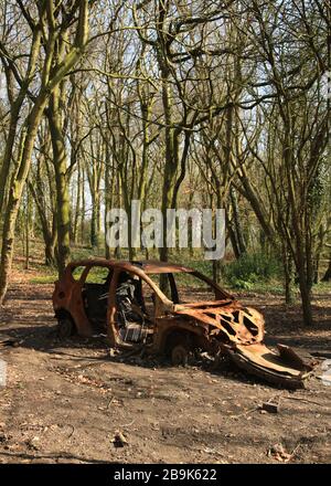 Bruciò l'automobile rubata nel bosco britannico. Foto Stock