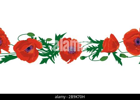 Pennello colorato senza cuciture con fiori di papavero disegnati a mano. Bordo floreale senza fine. Isolato su sfondo bianco. Illustrazione vettoriale in magazzino Illustrazione Vettoriale