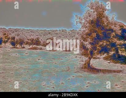 Jebel el-Drusi & Hauran. Foresta di querce. A sud di Soueida. 1938, Siria, Suwaydāʾ Foto Stock