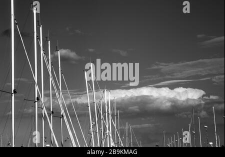 Alberi di yacht ormeggiati in porto turistico Gdynia sulla baia di Gdansk nel Mar Baltico, Gdynia Polonia - immagine monocromatica Foto Stock