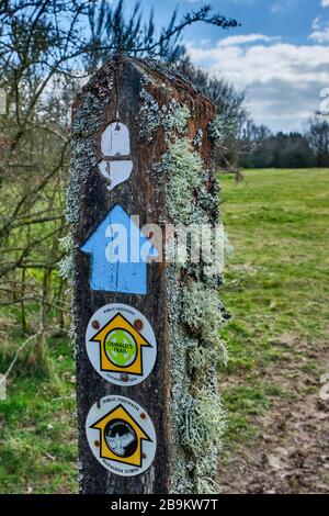 L'OFFA's Dyke, l'Oswald's Trail e le indicazioni per Shropshire Way vicino all'Old Racecourse, Oswestry, Shropshire Foto Stock