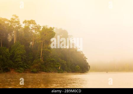 Alba al mattino presto sul fiume Kinabatangan nella foresta pluviale del distretto di Sabah, Borneo, Malesia Foto Stock