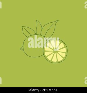 Disegno vettoriale in linea di lime semplice e minimalista su verde. Logo Citrus, disegno icona Illustrazione Vettoriale