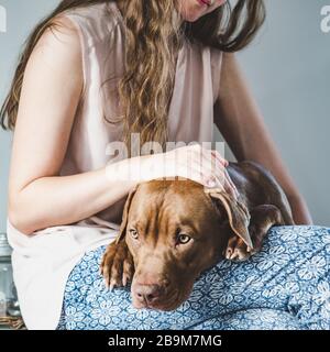 Donna elegante e bel cucciolo. Primo piano Foto Stock
