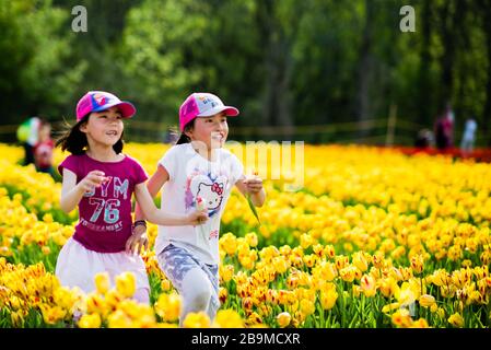 Giovani ragazze nei campi di tulipano con fiori colorati a Laval Foto Stock