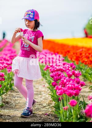 Giovane ragazza che indossa rosa nei campi di tulipano con fiori colorati in Laval Foto Stock