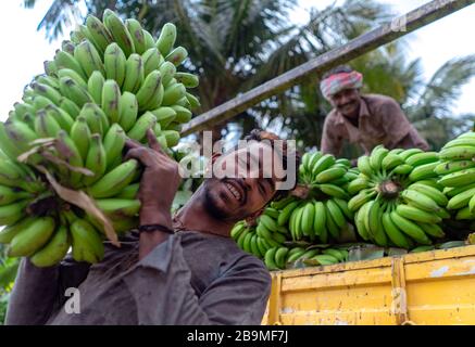 L'uomo porta banana Foto stock - Alamy