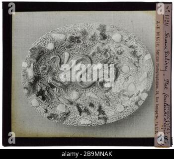 Francese Faience. Piatto Palissy Bernard Palissy (1510-1589). Plat. Plaque de Projection noir et blanc. 1900-1930. Faïences françaises. Fotografie di Jacques-Ernest Bulloz (1858-1942). Musée des Beaux-Arts de la Ville de Paris, Petit Palais. Foto Stock