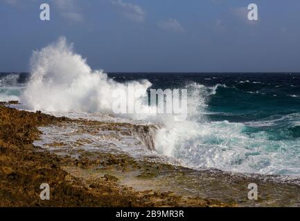 Le onde potenti sterlano a riva nel Washington Stagbaai National Park Foto Stock