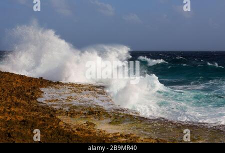 Le onde potenti sterlano a riva nel Washington Stagbaai National Park Foto Stock