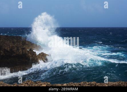 Le onde potenti sterlano a riva nel Washington Stagbaai National Park Foto Stock