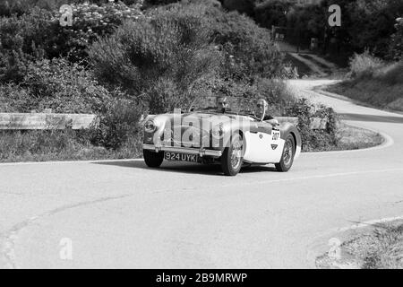 PESARO COLLE SAN BARTOLO , ITALIA - 17 MAGGIO - 2018 : AUSTIN HEALEY 100 M BN2 1955 su una vecchia auto da corsa in rally Mille miglia 2018 il famoso italiano HIS Foto Stock