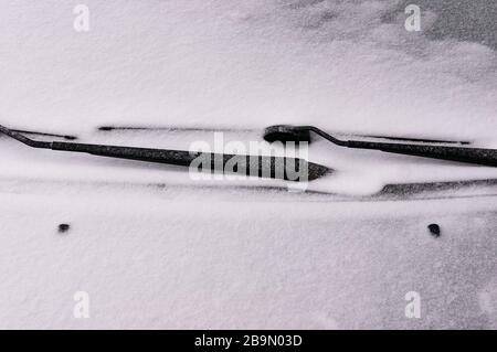 Parabrezza coperto da neve con spazzole per tergicristalli. Concetto di guida in inverno con neve su strada. Stagione invernale. Foto Stock