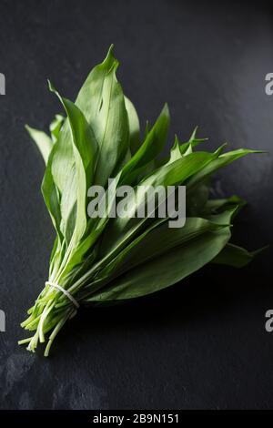 Un fascio di foglie di aglio selvatico, Allium ursinum, che sono stati raccolti per fare un condimento per bistecche di veleno. Visualizzato su uno sfondo di ardesia scuro. Dor Foto Stock