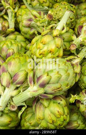Carciofi, Farmers Market, Santa Barbara, California Foto Stock